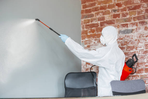 Best Mold Remediation for Healthcare Facilities  in Woodlyn, PA