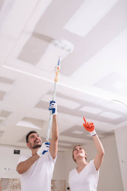 Best Emergency Mold Remediation  in Woodlyn, PA