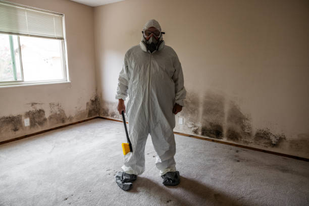 Best Mold Removal for HVAC Installations  in Woodlyn, PA