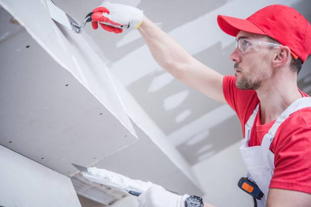 Best Forensic Mold Investigation  in Woodlyn, PA