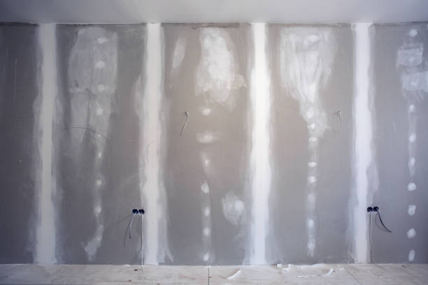 Best Post-Construction Mold Inspection  in Woodlyn, PA