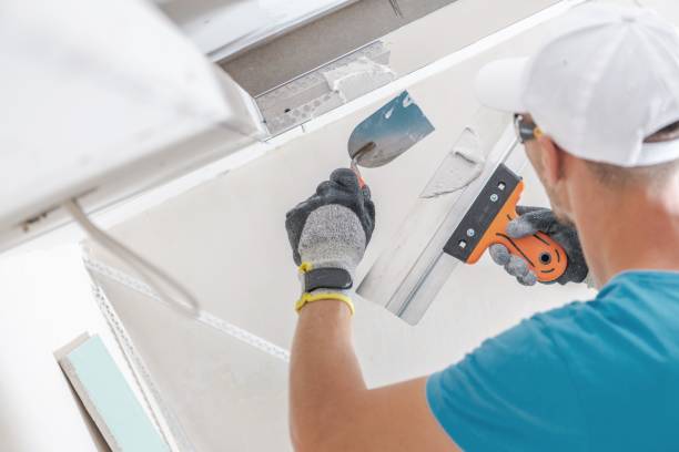 Woodlyn, PA Mold Removal Company